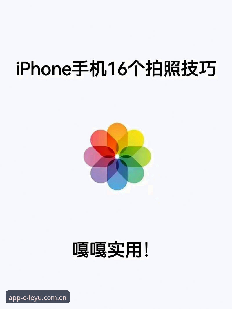 掌握乐鱼体育平台高效登录的实用技巧与必备知识
